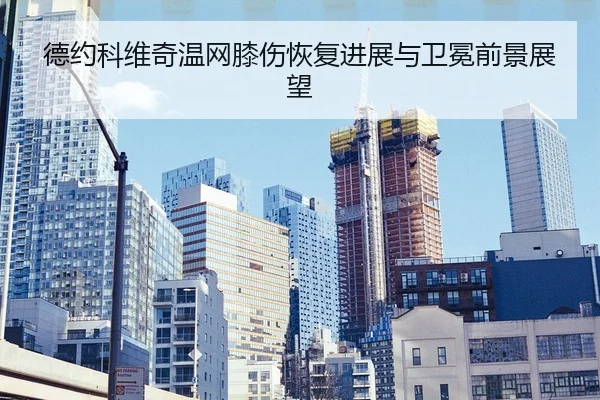 de-yue-ke-wei-qi-wen-wang-xi-shang-hui-fu-jin-zhan-yu-wei-mian-qian-jing-zhan-wang-2-500.jpg