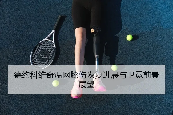 de-yue-ke-wei-qi-wen-wang-xi-shang-hui-fu-jin-zhan-yu-wei-mian-qian-jing-zhan-wang-3-476.jpg