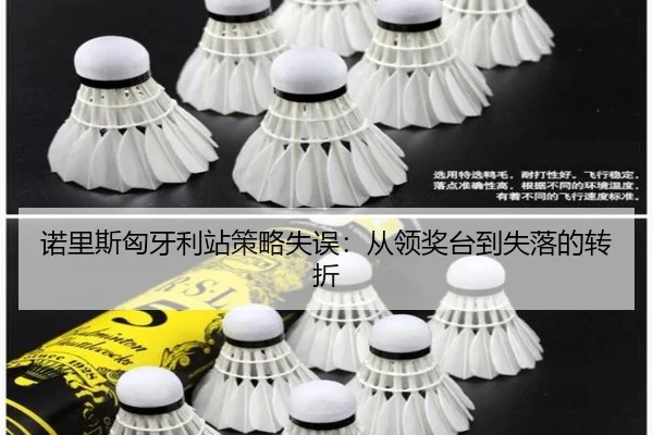 诺里斯匈牙利站策略失误：从领奖台到失落的转折