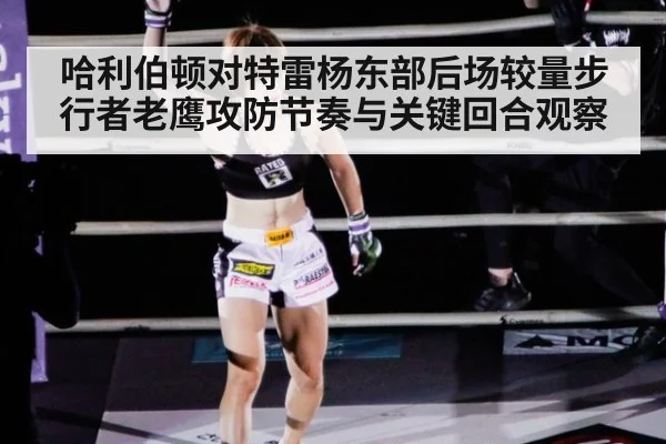 哈利伯顿对特雷杨东部后场较量步行者老鹰攻防节奏与关键回合观察